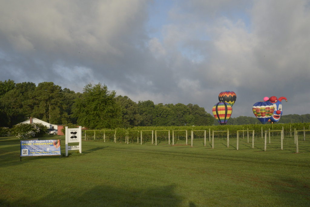 Chesapeake Balloon Festival, Aug. 2016 Credit: Curt Brandt