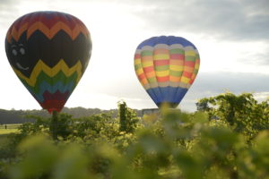 Chesapeake Balloon Festival, Aug. 2016 Credit: Curt Brandt 