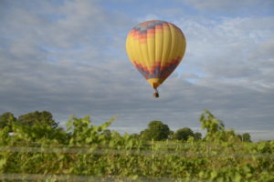 Chesapeake Balloon Festival, Aug. 2016 Credit: Curt Brandt